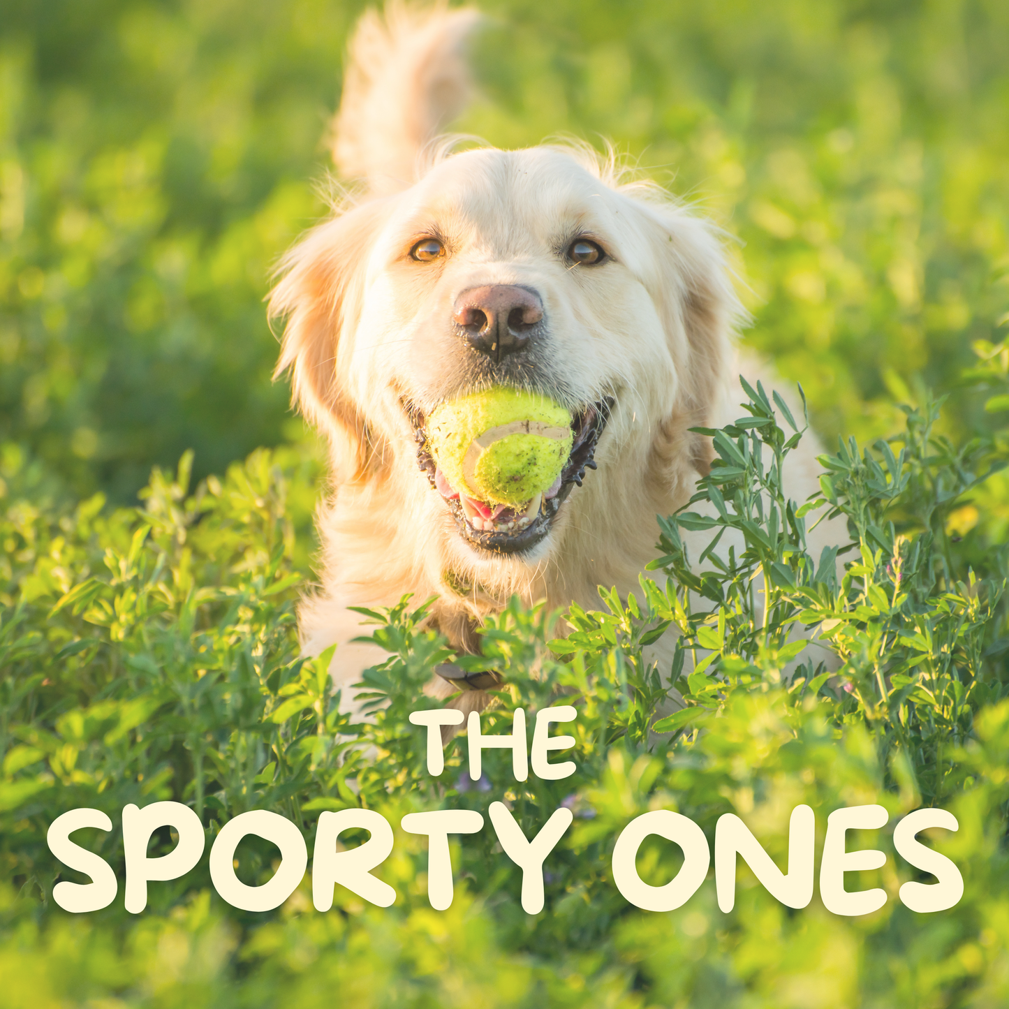 The Sporty Ones