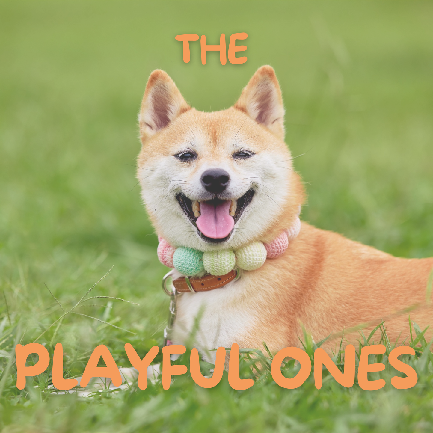The Playful Ones