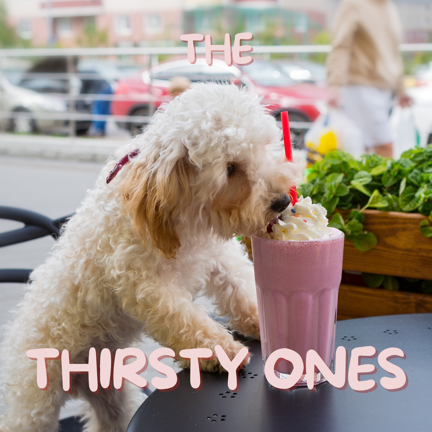 The Thirsty Ones